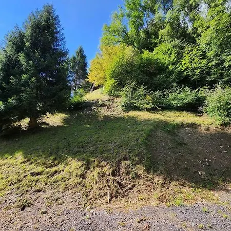 Chalet Les Nids 4.5 *